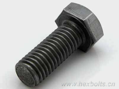 plain bolts transhow